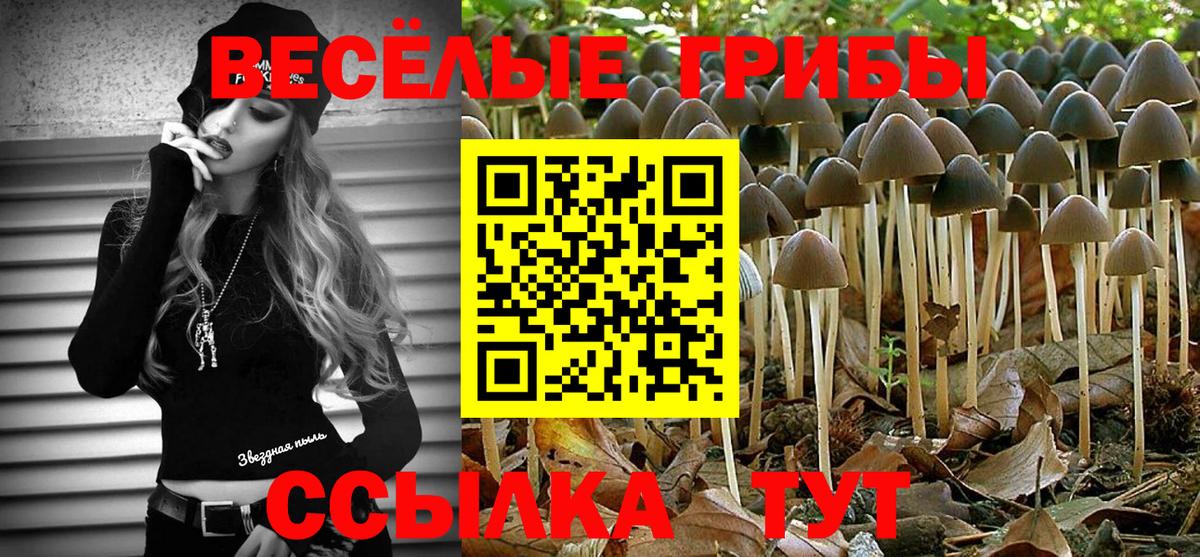 Псилоцибиновые грибы мицелий  Галлюциногенные грибы Cubensis  Жигулёвск 