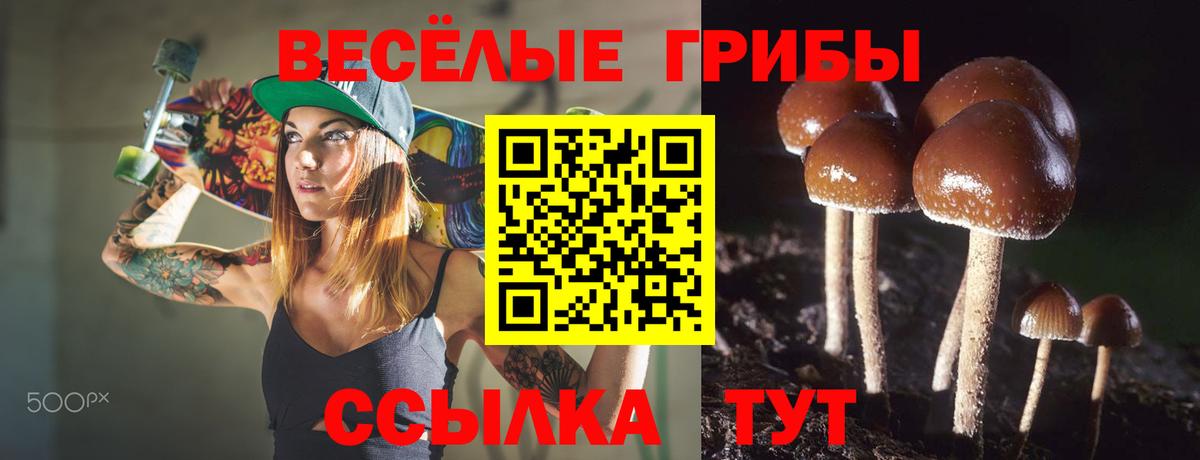Галлюциногенные грибы мицелий Жигулёвск